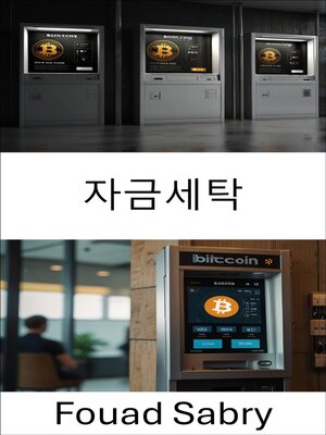 cover image of 자금세탁